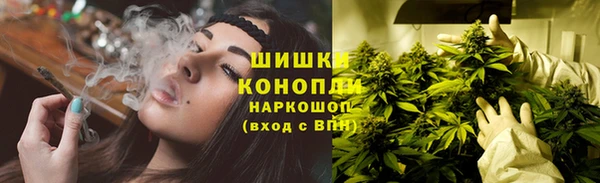 прущие грибы Осинники
