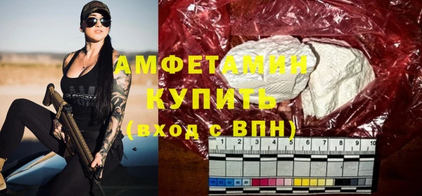 прущие грибы Осинники