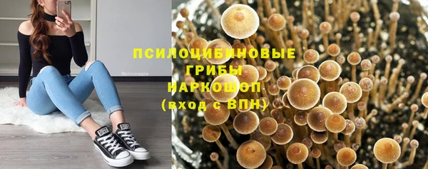 прущий лед Няндома