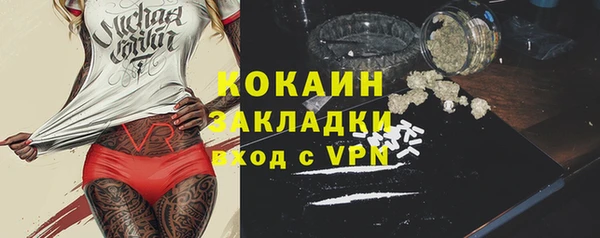 прущие грибы Осинники