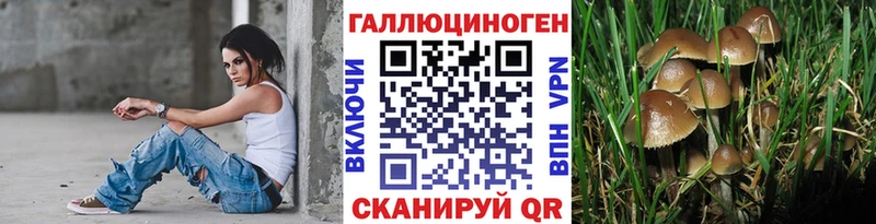 Галлюциногенные грибы мицелий blacksprut ONION Кириллов