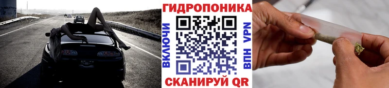 Конопля индика  Кириллов 